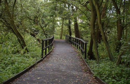 Apartamentos Hautacuperche - Foto 49