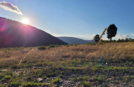La cabane d'antoine - Foto 22