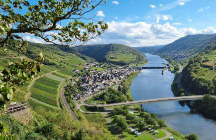 Moselzeit in Neef - Photo 1