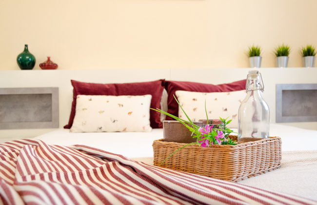 Dama de noche - Foto 13