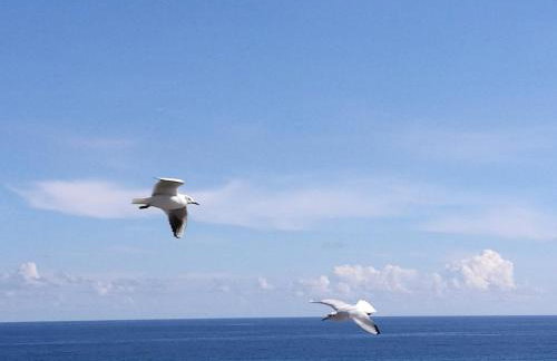 Riccio di Mare - Large and bright flat on the sea - Foto 28