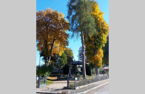 Maison indépend. 6 personnes à 10 mn de Gérardmer - Foto 34