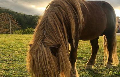 Agriturismo La Vita è Bella - Foto 19