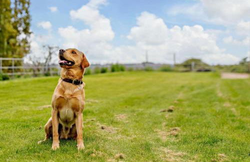 2 Bed in Doncaster oc-93150 - Foto 23