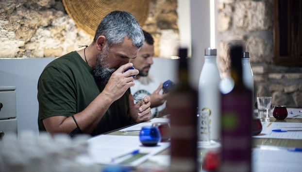 Will you be able to tell the olive oils apart?