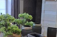 Mutti 's Landhaus - Photo 12