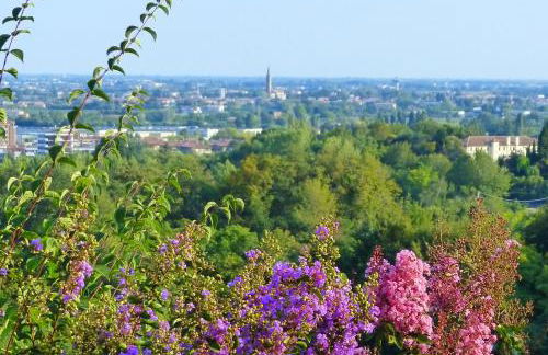 Podere di Costabella - Foto 15