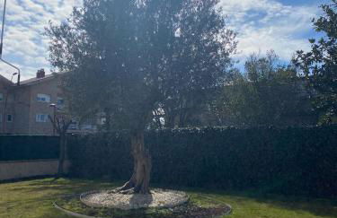 Las Adelfas - Photo 36