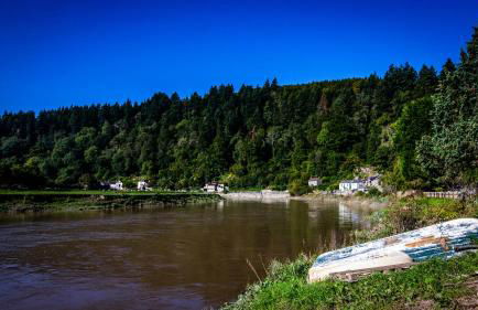 Parva Farmhouse Riverside Guesthouse - Foto 8