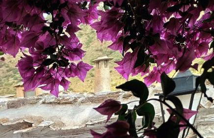 Casa Fortuna - Foto 62