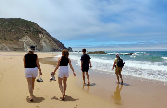 Paseo por la naturaleza de medio día y picnic en la costa oeste del Algarve - Foto 5