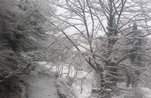 La casa del Tiglio - Foto 26