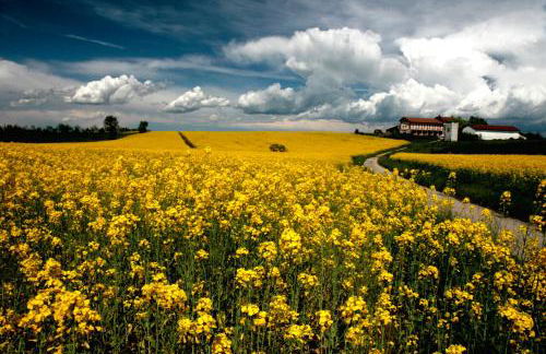 Il Poggio Agrisport - Foto 1