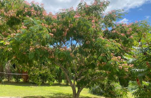 Villa KIKO, Gîte Spa & Sauna privatifs -5 min- Sarlat - Foto 38