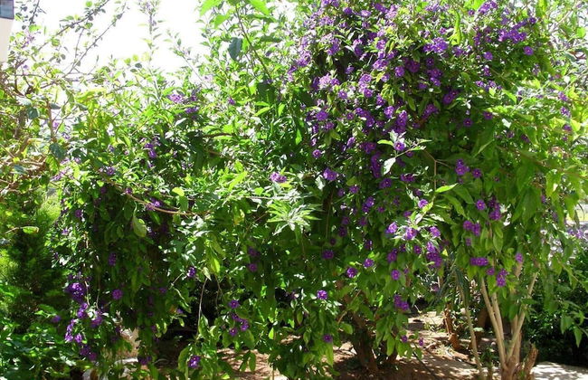 Feels Like Your Home at Ermioni - Photo 44