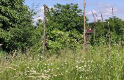 Ruralna kuća za odmor Pozojova hiža - Rural Holiday House - Foto 49