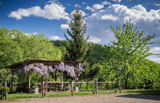 Le Cetinelle B&B - Photo 35