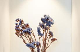 Narcisse Bienvenue - Élégance et Raffinement - Photo 20