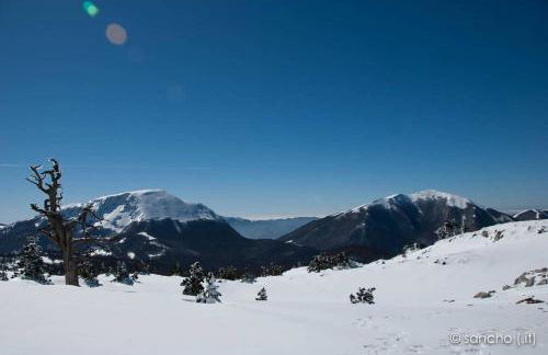 Tana di Zia Nature, Yourself, Love - Foto 42