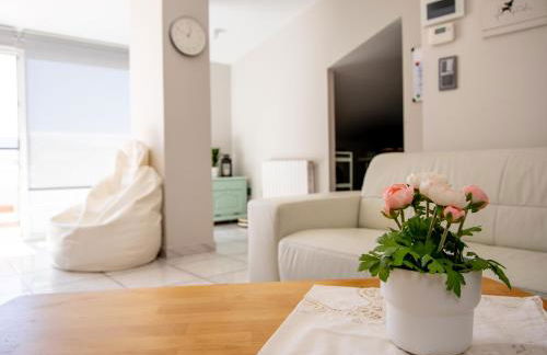 Pontevedra- A Caeira - Foto 1