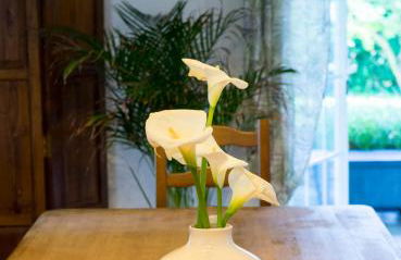 Zarrian Barri Etxea - Foto 41