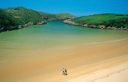 NUEVO Loylla Niembro a 500 m de la playa - Foto 25