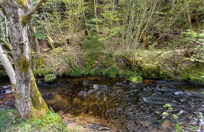 Nature Retreat in Lorraine - Foto 31