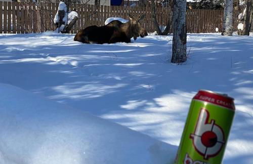 Hot Tub Stunning Mountain Views 2 kitchens 4 bedroom 2 bathroom - Foto 36