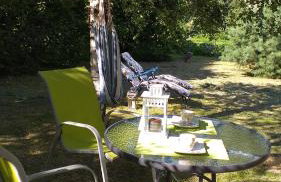 Przytulne Studio Borówkowy Zagajnik - Foto 24