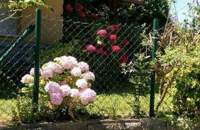 El Rincón de las Marismas - Foto 35