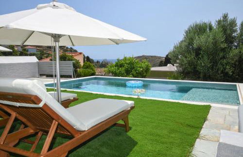 Andros Neoclassical Villa NP1926 with Private Pool - Foto 7