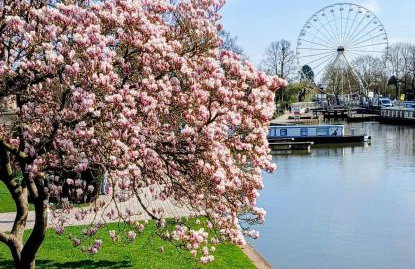 Riverbank Lodge - Foto 8