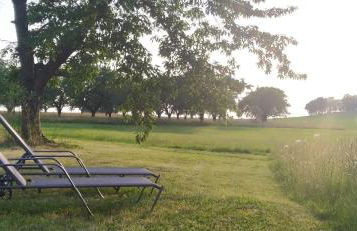 Ferienhof Steindörfel - Foto 38