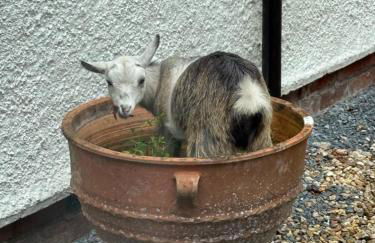 Stunning Edwardian Country Home Unwind - Foto 31