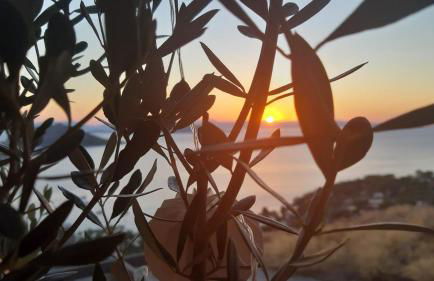 La Casa Del Sol Villa Aegina sea and Sunsets - Foto 61