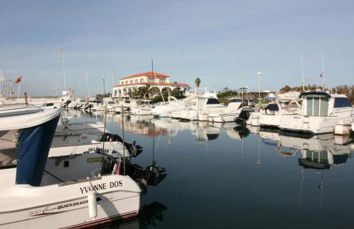 OLIVA HOLIDAYS 1 - Photo 37