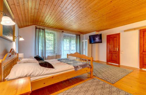 Holiday Home Zameczek Falsztyn by Interhome - Foto 111