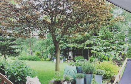 Stasiówka Gospodarstwo Agroturystyczne - Foto 18