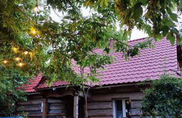 Gniazdo w Felicjanowie - Foto 31