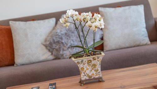 Alte Fischfabrik MoinMoin - Foto 5