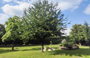 Le FrancoThai Metz - Photo 14