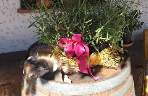 Cascina Curairone - Foto 19