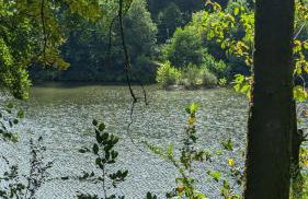 Am Siegerländer Höhenweg - Foto 14