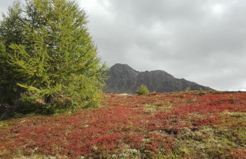 Alpenblick - Photo 36