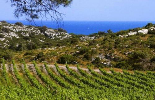 Entre mer et garrigue - Foto 64