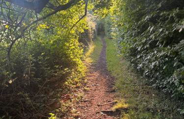 Star Gazing Dome 2 with Log Burner & Optional Hot tub - Foto 28