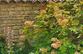 Demeure VERTEUILLAISE - Foto 29