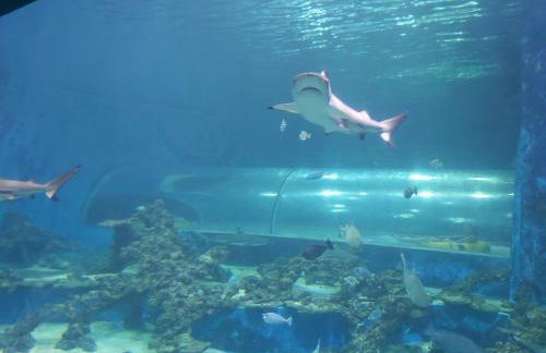 Apartament "DESTINATION" przy AQUAPARKu - Foto 29