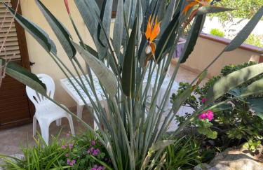 Appartamenti Pousada Michelino - Foto 42