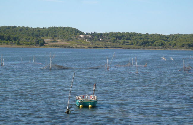 L'Hacienda - Foto 28